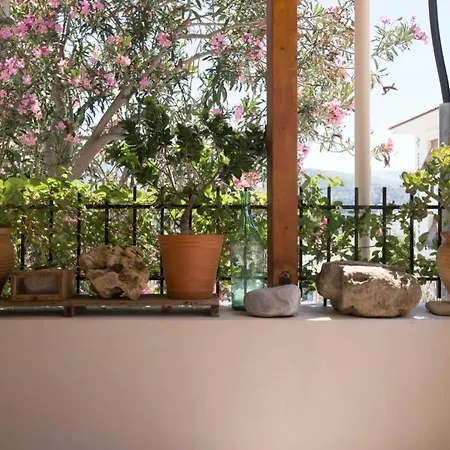 別荘 Kostas' House アルゴストリオン